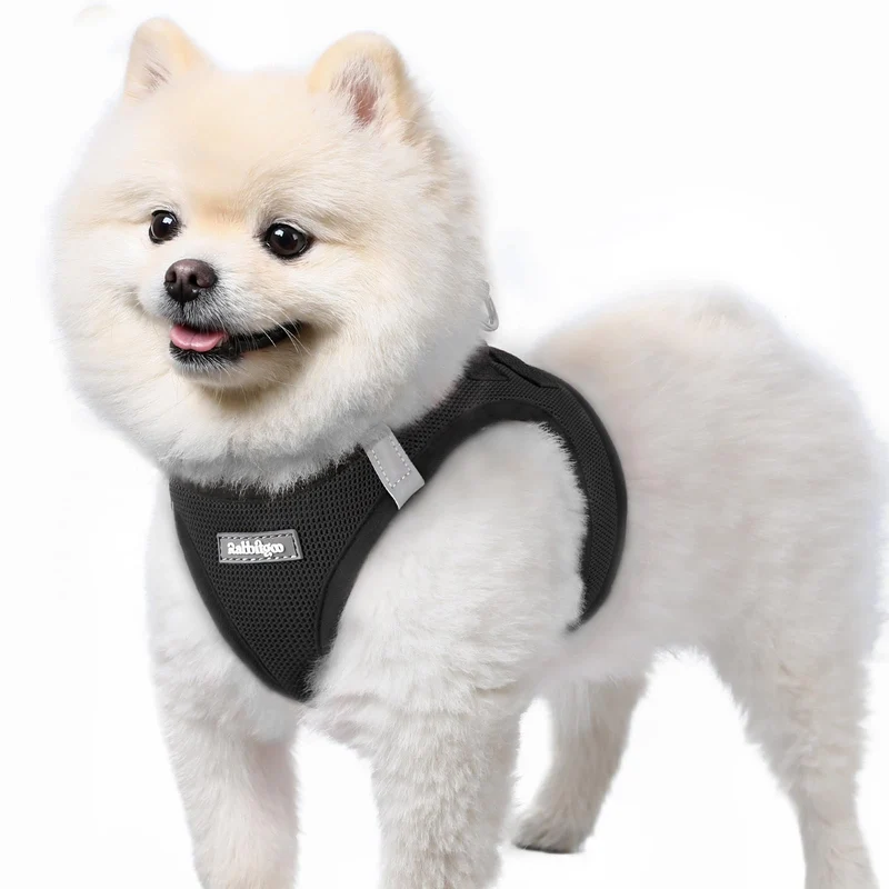 Rabbitgoo Harnais Petit Chien Step-in en Maille Douce – S Noir, Réfléchissant