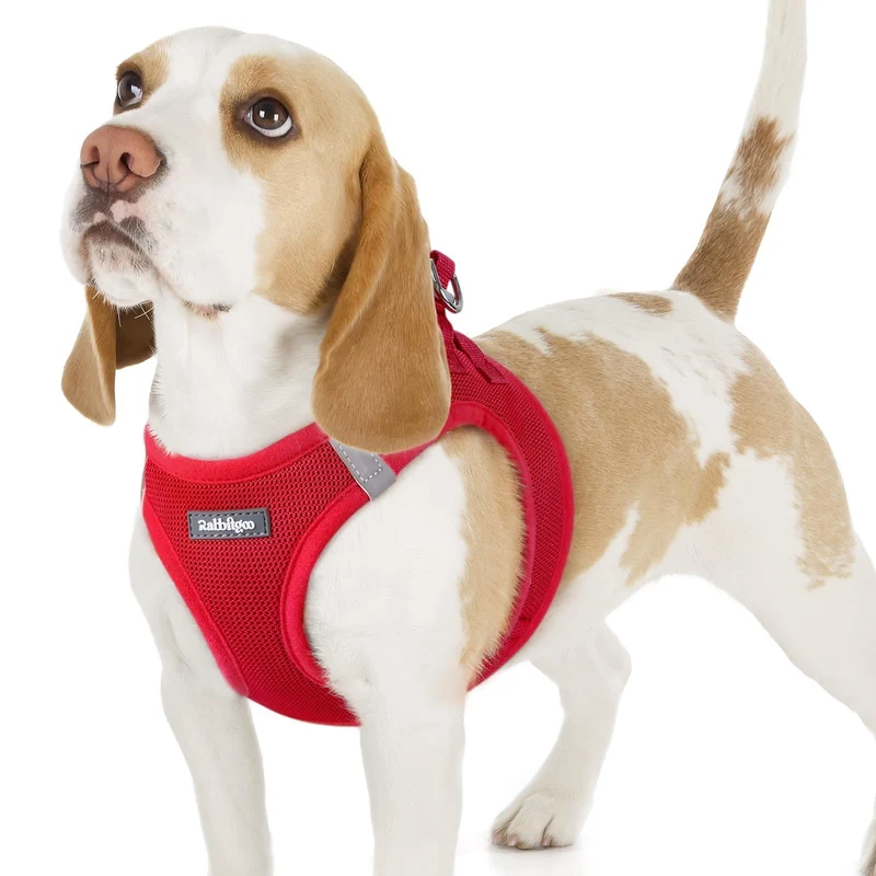 Rabbitgoo Harnais Petit Chien Rouge M – Enfilage Facile, Maille Respirante et Réflectif