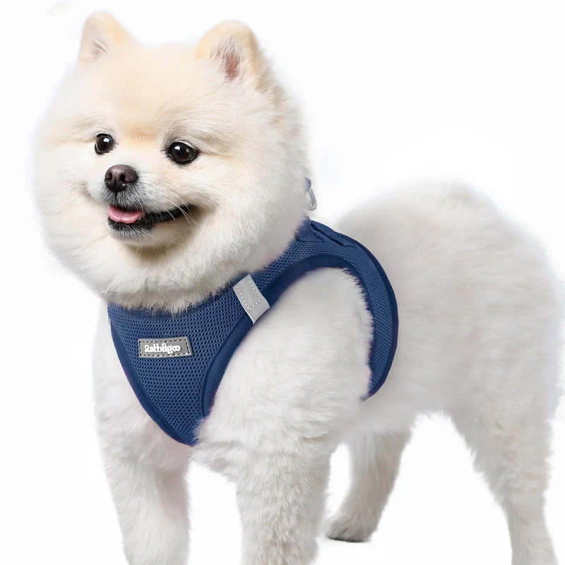 Rabbitgoo Harnais Petit Chien en Maille Douce – Enfilage Facile, Confort et Sécurité, Bleu Marine, Taille S