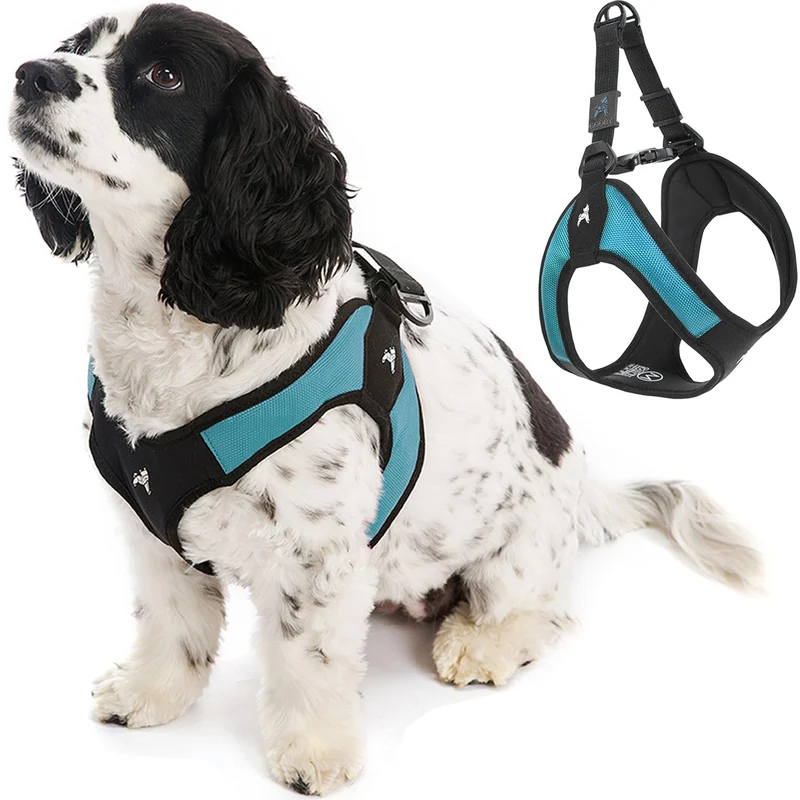 Gooby - Harnais Escape Free Easy Fit pour petits chiens (turquoise) | Anti-évasion et enfilage facilité