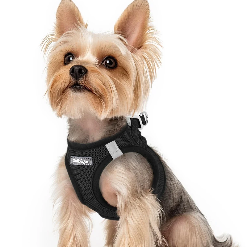 rabbitgoo Harnais petit chien à enfiler en mesh doux – Noir XS, respirant et réfléchissant