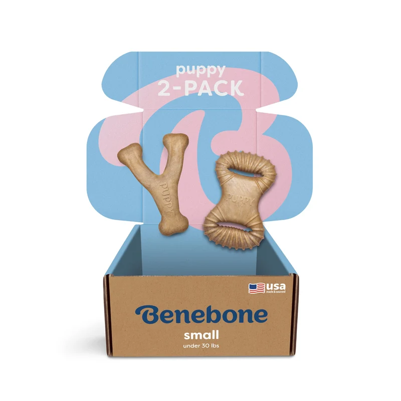 Benebone Puppy 2-Pack : Os dentaire en forme de wishbone au poulet réel (Petit)