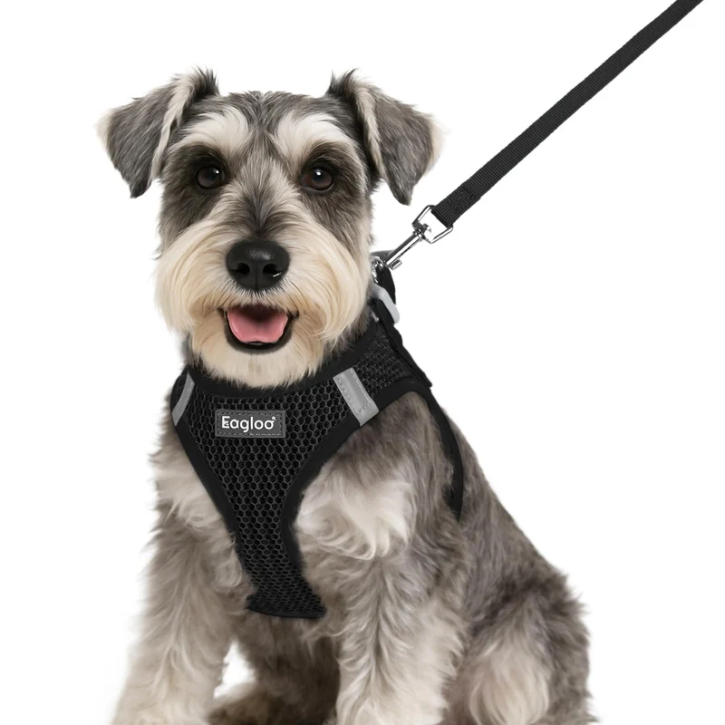 Eagloo Harnais et Laisse Petit Chien Step-in - Maille Respirante, Bandes Réfléchissantes, Taille S