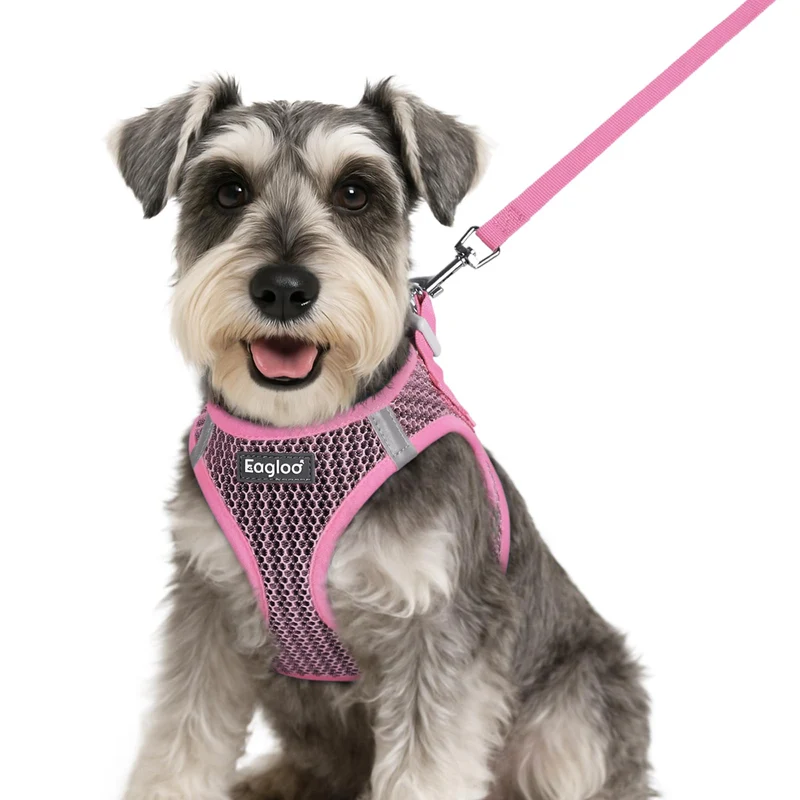 Harnais et Laisse Eagloo pour Petit Chien – Step-in Rose, Maillage Respirant, Réfléchissant, Taille S