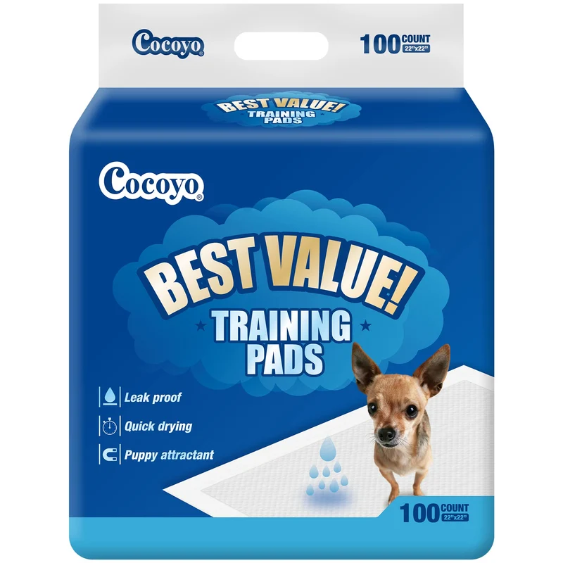COCOYO Meilleur Rapport Qualité-Prix – Tapis d’Entraînement 22x22 po, Lot de 100
