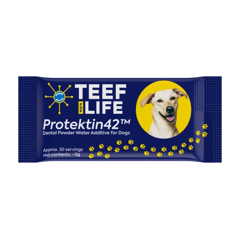 TEEF FOR LIFE Protektin42 — Poudre prébiotique dentaire pour chiens, 30 portions, végétale, sachet de recharge