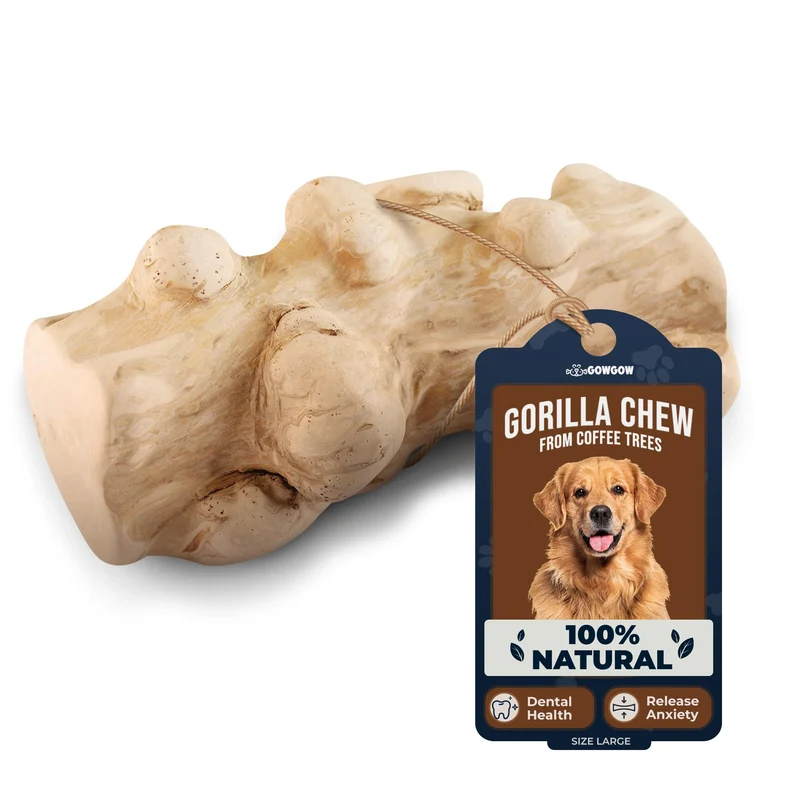 GOWGOW Gorille à Mâcher en Bois de Café — Jouet Naturel pour Chiens de Plus de 32 kg | Santé Dentaire et Détente