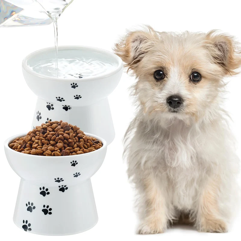 Teenyyou | Lot de 2 Gamelles Élevées pour Chien en Céramique, Antidérapantes, Compatibles Lave-Vaisselle et Micro-ondes