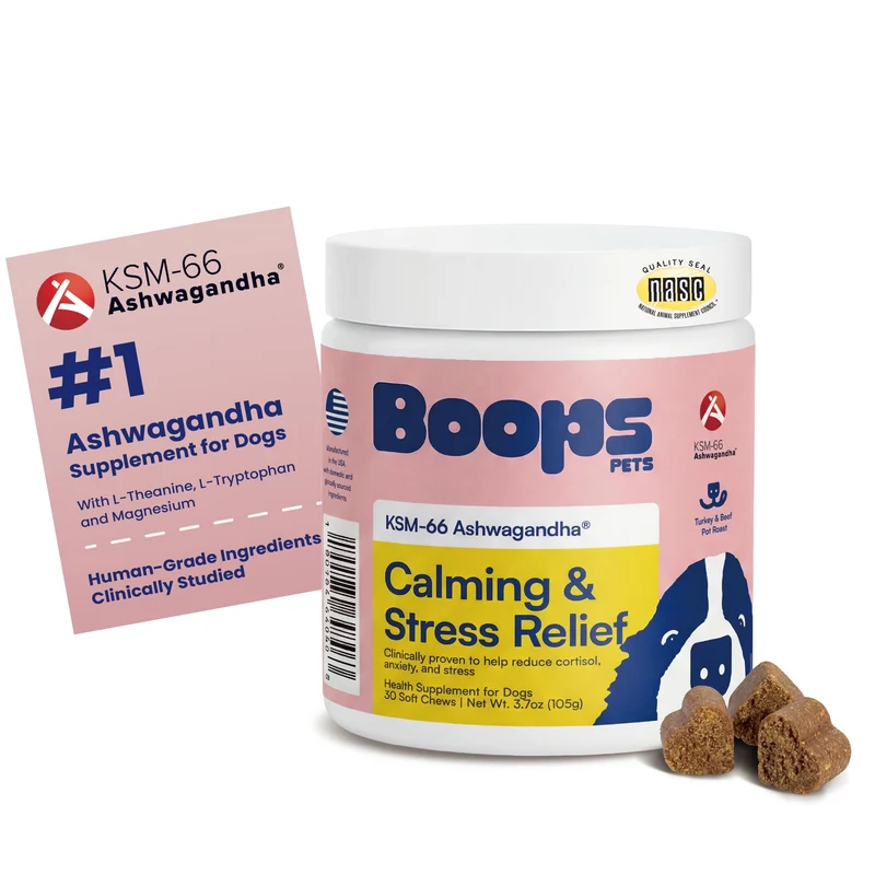 Boops Pets – Friandises Apaisantes pour Chiens | Ashwagandha KSM-66, L-Theanine & Mélatonine – Saveur Dinde et Boeuf
