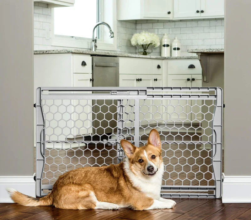 Carlson Pet Products Barrière Easy Fit 28-42 po – Barrière pour chien extensible, montage par pression, Gris