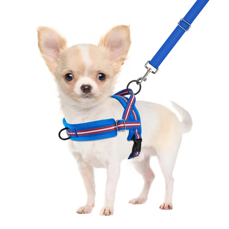 SlowTon Harnais Sans Tirage pour Petit Chien – Laisse XS, Clip Avant, Doux Flanelle