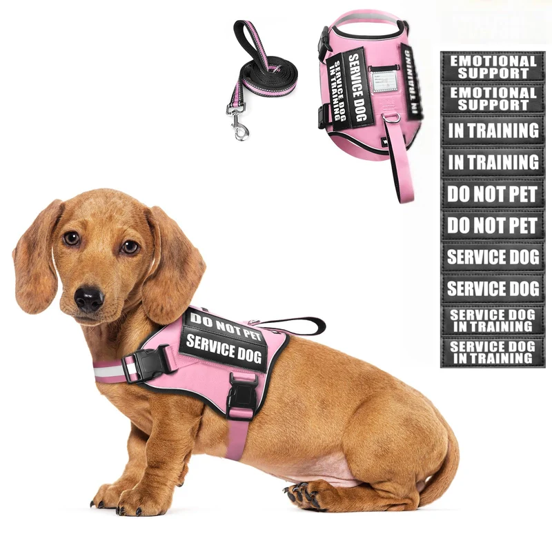 WINSEE Harnais et Laisse pour Chien — Pack Dressage avec 10 Patchs et Carte d'identité (Rose, XS)