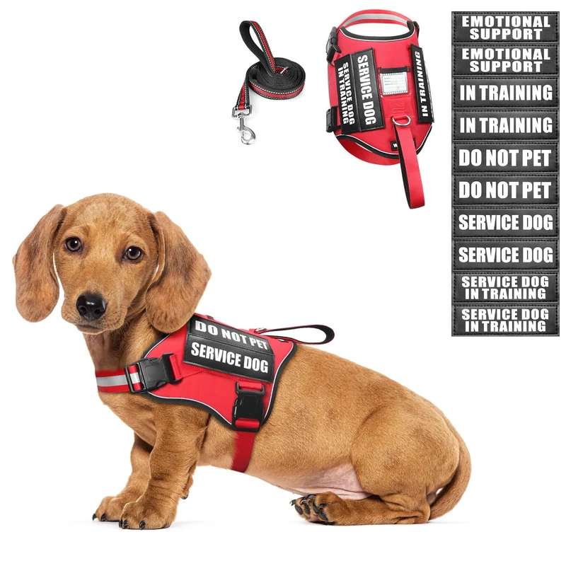 WINSEE Harnais et Laisse Petit Chien Rouge – X-Small, Réglable, Patchs et Veste de Soutien Émotionnel