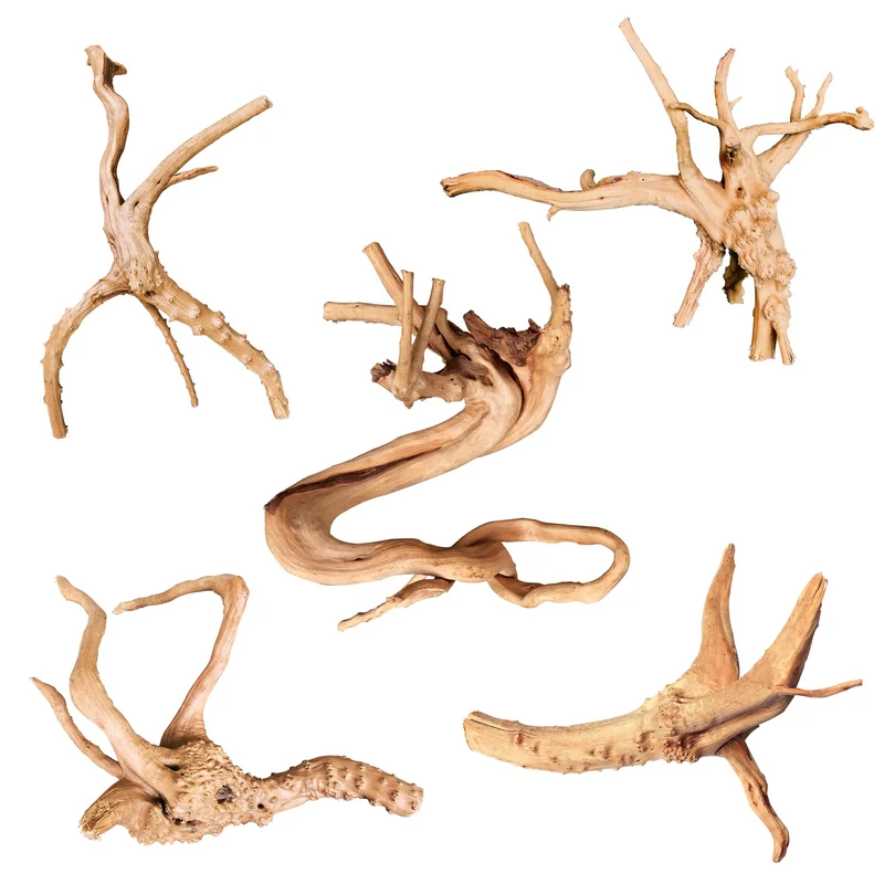 majoywoo Bois-araignee Naturel – Décor d'Aquarium 4-8 po, Ensemble 5 Pièces, Décor Reptile