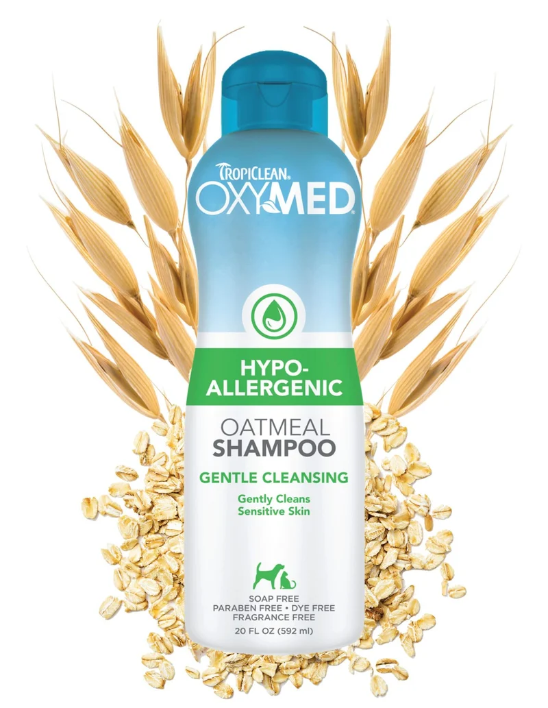 Shampooing hypoallergénique TropiClean OxyMed pour chiens et chats – sans larmes, 20 oz