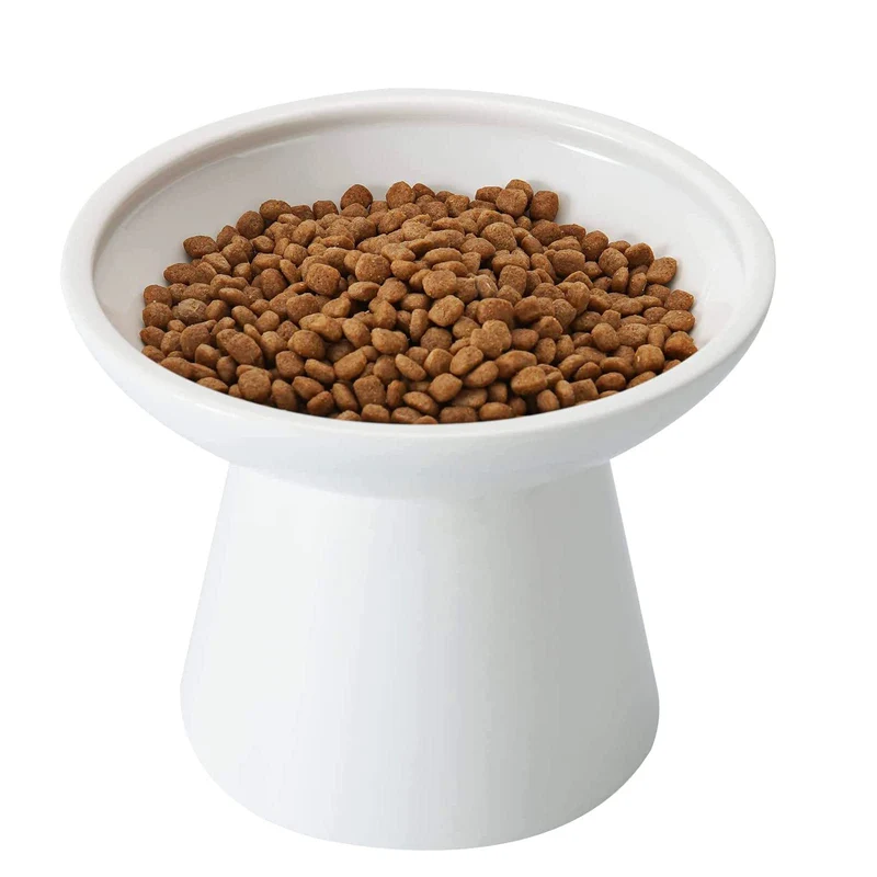 CEEFU Bol Chat Élevé en Céramique — Large Plat Peu Profond, Hauteur 5'' (Sans Plomb)