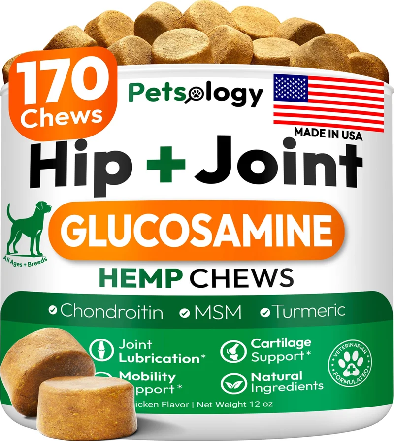 Petsology Supplément Hanche et Articulations pour Chiens – 170 Friandises Mobilité – Glucosamine, Chondroïtine, MSM, Curcuma – Fabriqué aux États-Unis