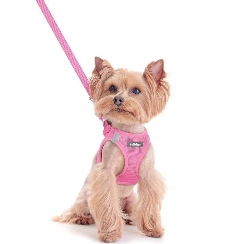 rabbitgoo Harnais Chien Petit XXS Step-en par les Pattes - Maille Respirante + Laisse Rose Clair