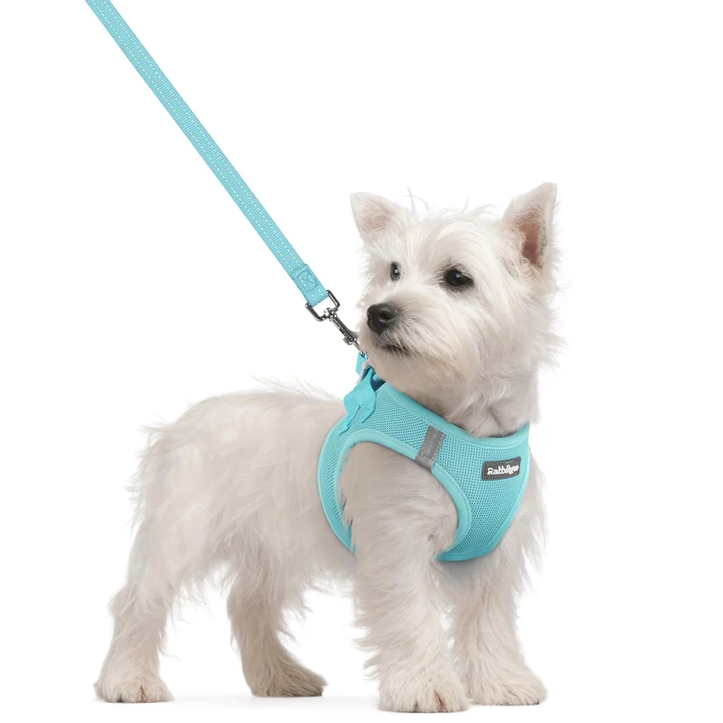 Harnais Rabbitgoo Petit Chien Step-in en Mesh Respirant – Menthe Bleu + Laisse 1,6 m