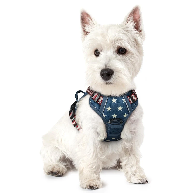 rabbitgoo Harnais chien sans traction XS – 2 attaches, réglable, rembourré, bandes réfléchissantes – Bleu Étoile