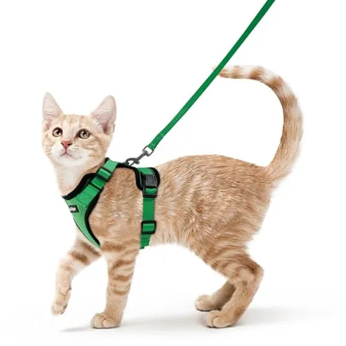 rabbitgoo Harnais et Laisse pour Chat – Ajustable, Respirant, Réfléchissant – Vert Herbe, Taille S