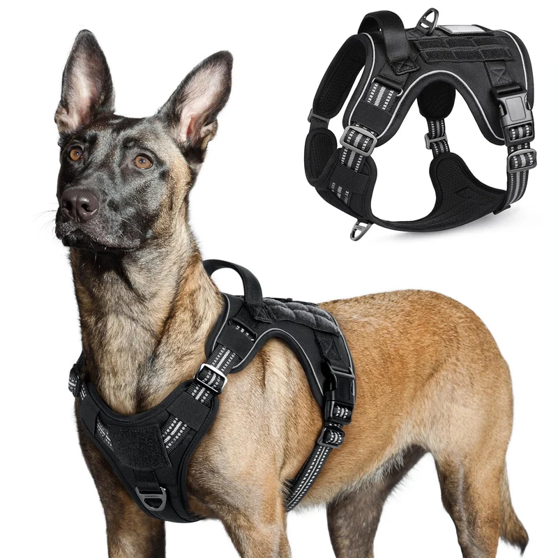 Harnais Tactique Rabbitgoo pour Grands Chiens — Anti-Tirage, Poignée et Système Molle