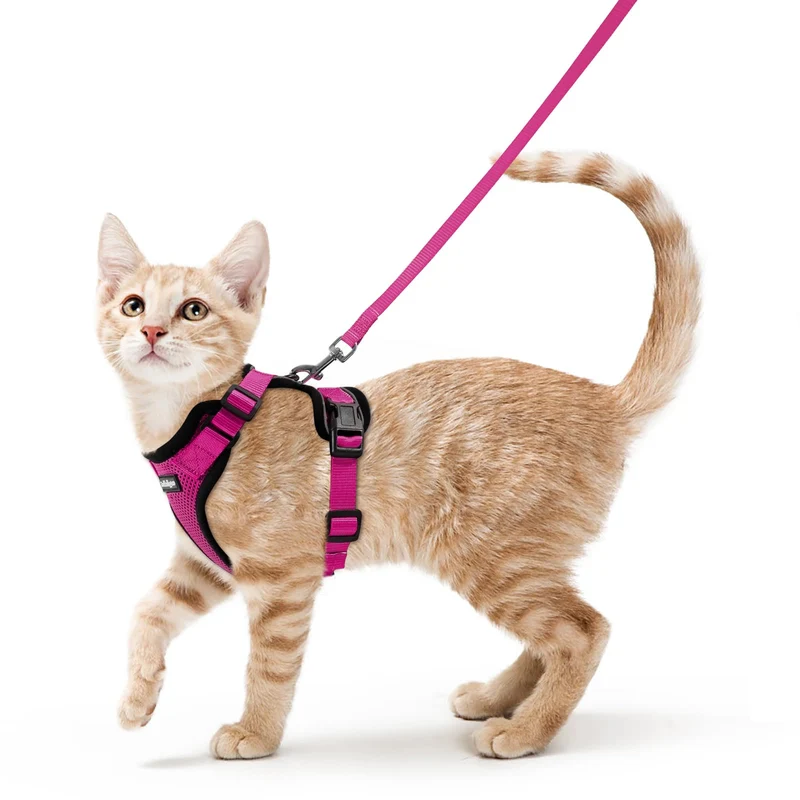 Rabbitgoo Harnais et Laisse pour Chat — Anti-Évasion, Confort Respirant, Ajustable, Bandes Réfléchissantes, Rose XS