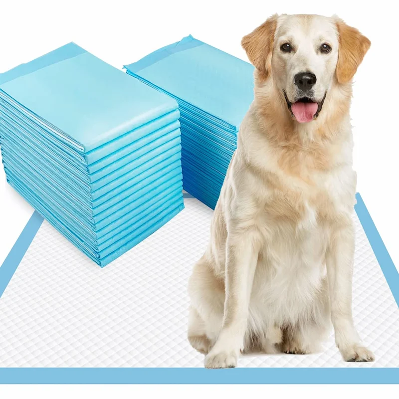 Dogcator Tapis Pipi XL 28x34 cm – 30 Pièces Absorbantes Ultra-Résistants pour Chiens