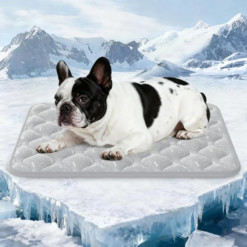 Rywell Tapis Refroidissant pour Chiens 2.0 – Édition Gris Élégant, 30×20 cm, Arc-Chill Thermochromique et Imperméable