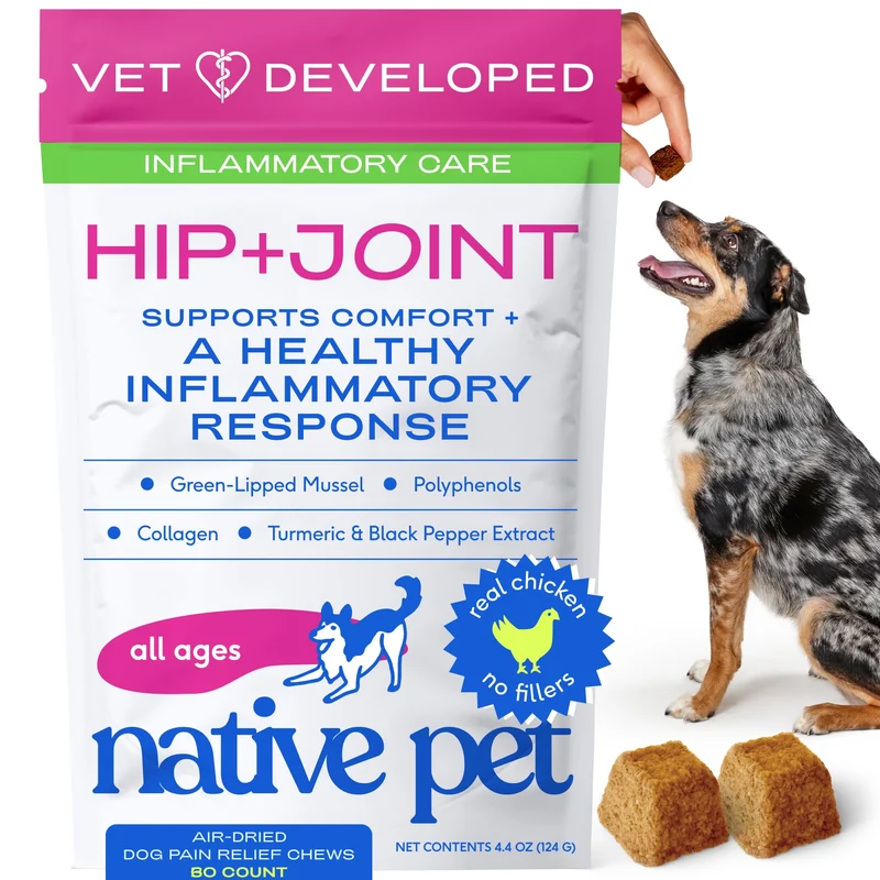 Native Pet Soin inflammatoire pour chiens – Articulations saines avec moules vertes, curcuma et collagène – 60 friables