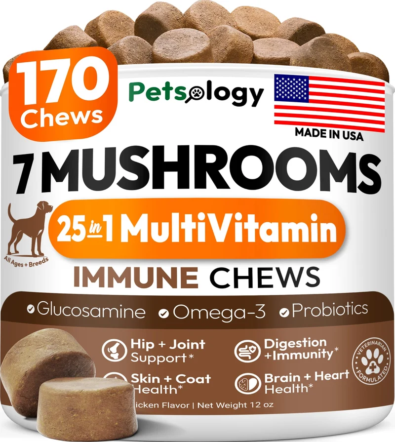 Petsology Champignon Queue-de-Dinde pour Chiens – 170 Gommes | Crinière de Lion, Shiitaké et Reishi