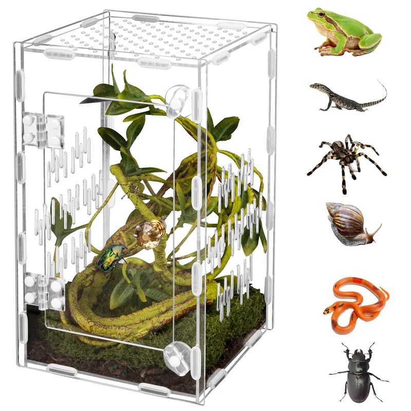 Terrarium en acrylique Orekemo – Assemblage facile, vue 360°, habitat sûr pour arachnides (9,8 × 5,9 × 5,9 po)