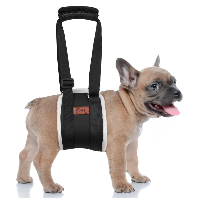 Harnais de levage pour chien réglable – PICK FOR LIFE | Aide au lever et rééducation (Noir, Petite)