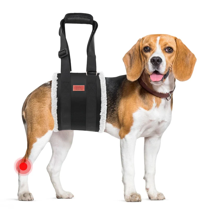 Harnais de levage ajustable PICK FOR LIFE pour chien — soutien arrière et rééducation (Noir, Taille Moyenne)