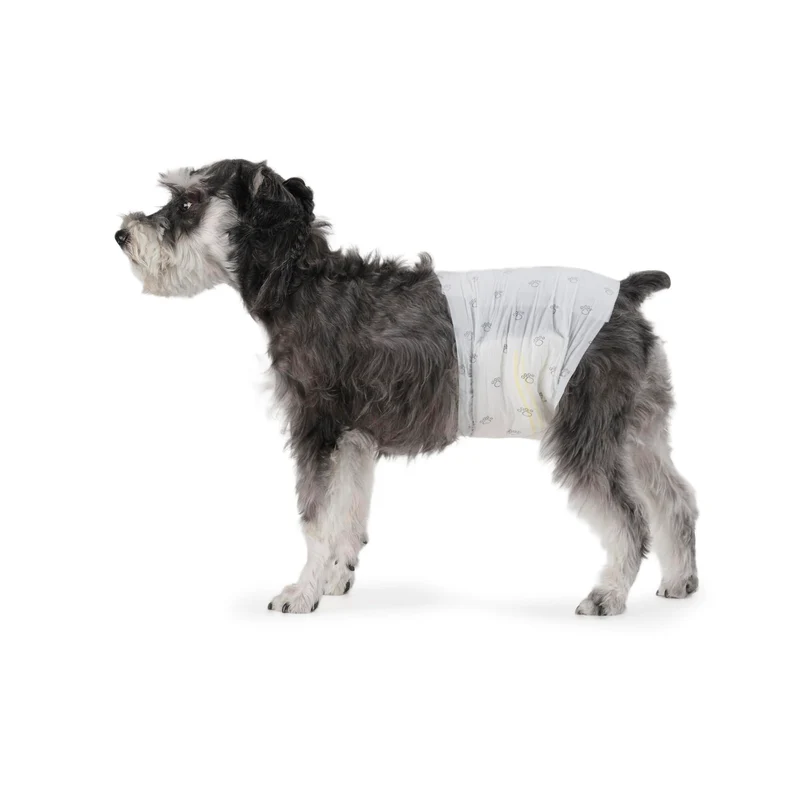 Amazon Basics Couches pour Chien Mâle – Ultra Absorbantes, Indicateur d'Humidité, 30 Unités, Taille Moyenne