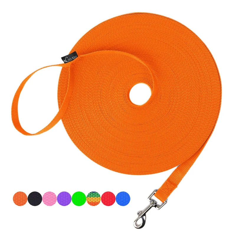 Hi Kiss Laisse d'Entraînement pour Chiens – Rappel, Obéissance et Agilité – 100 pieds Orange