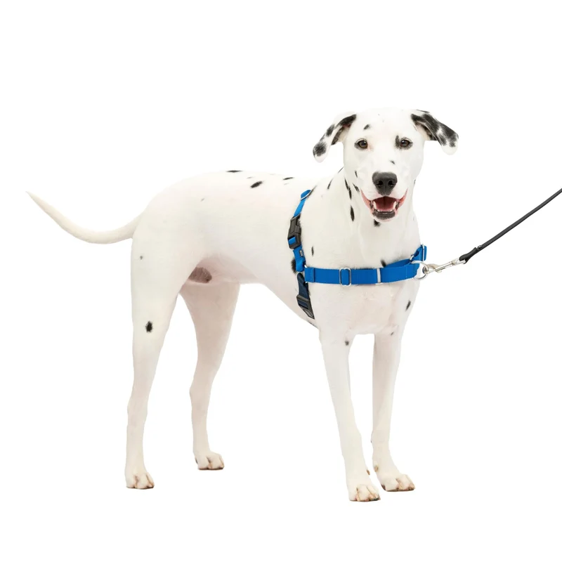PetSafe Easy Walk – Harnais anti-traction pour chien moyen/grand – Bleu royal et marine