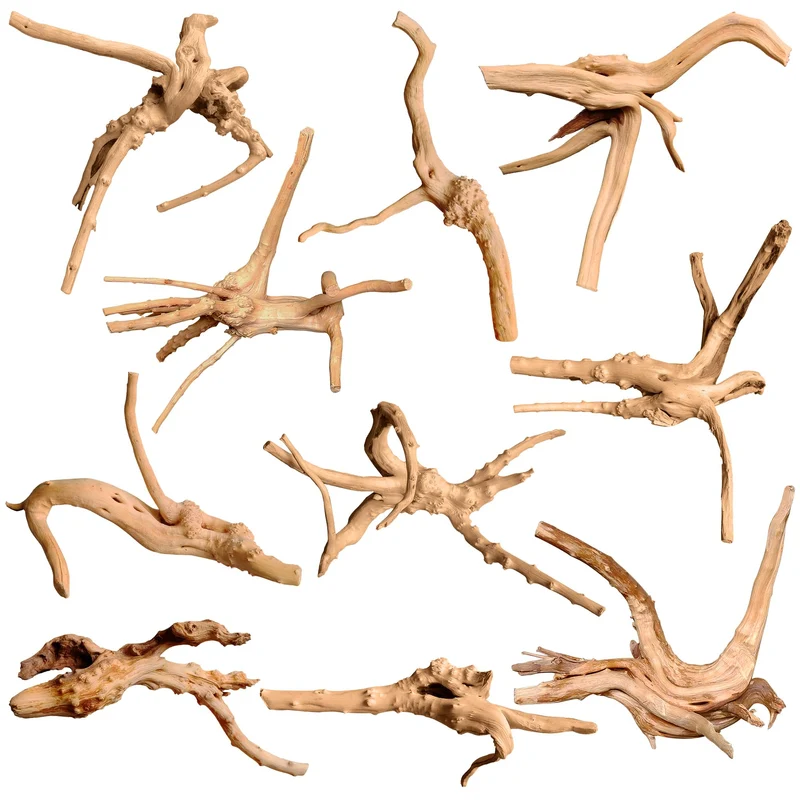 majoywoo Bois araignée naturel pour aquarium et terrarium – lot de 10 pièces, 2 à 4,5 pouces