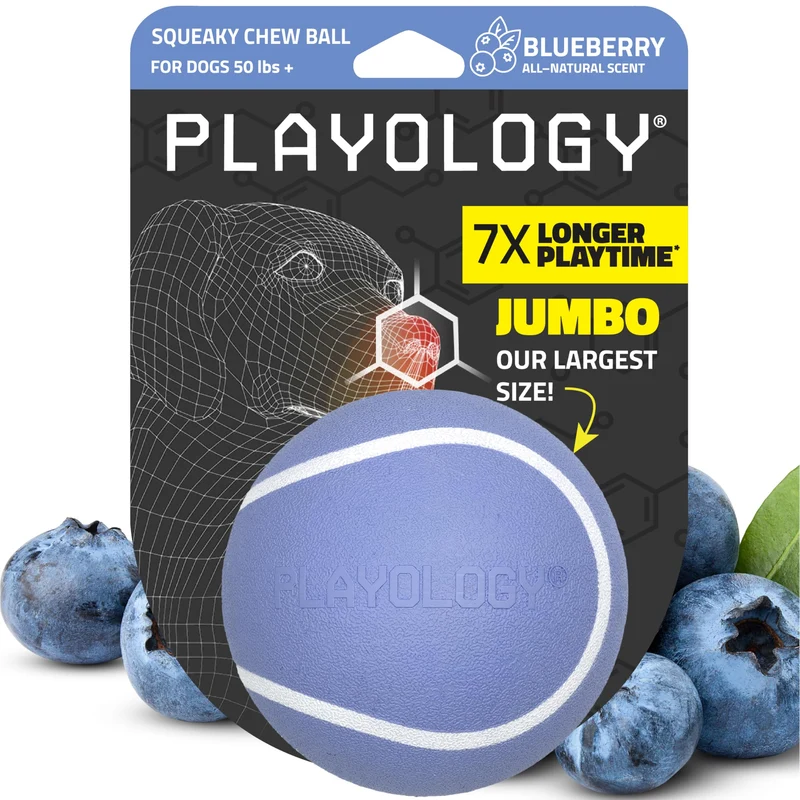 Playology Balle Sifflet Grosse pour Chiens – Parfum Myrtille, Durable et Flottante