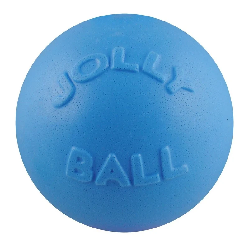 Balle Jouet pour Chien Jolly Pets Bounce-n-Play – 8 Pouces, Grand, Bleu Myrtille (Modèle 2508 BB)
