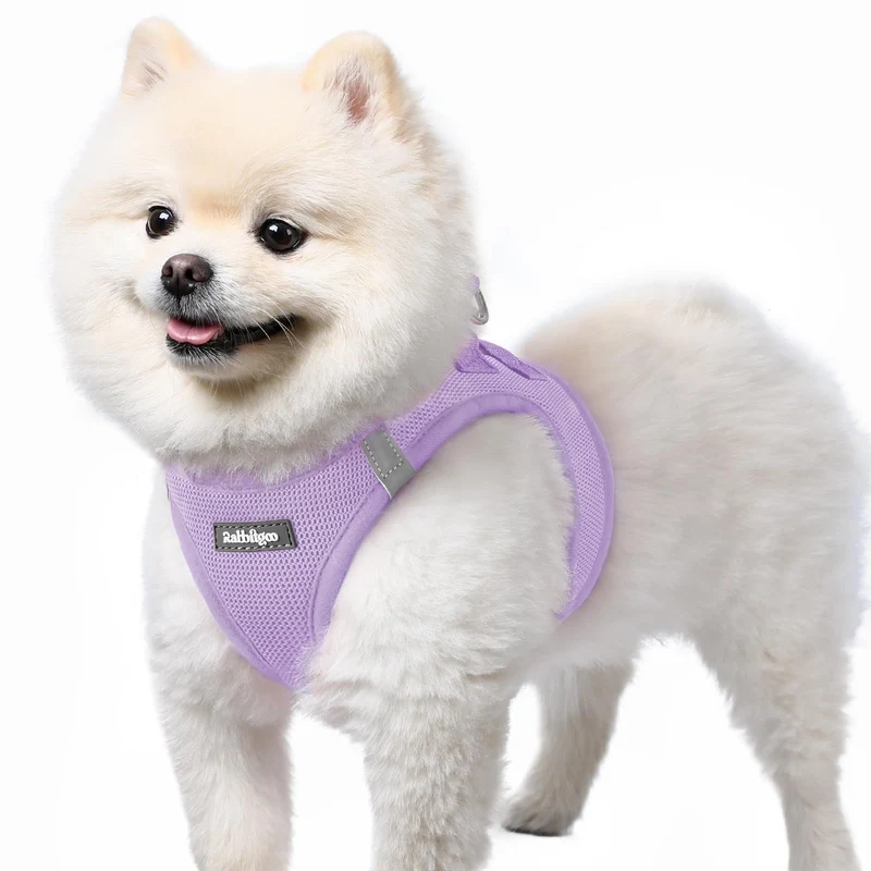 rabbitgoo Harnais Petit Chien – Enfilage Facile, Mesh Respirant, Réfléchissant, Boucle Sûre – Violet Clair