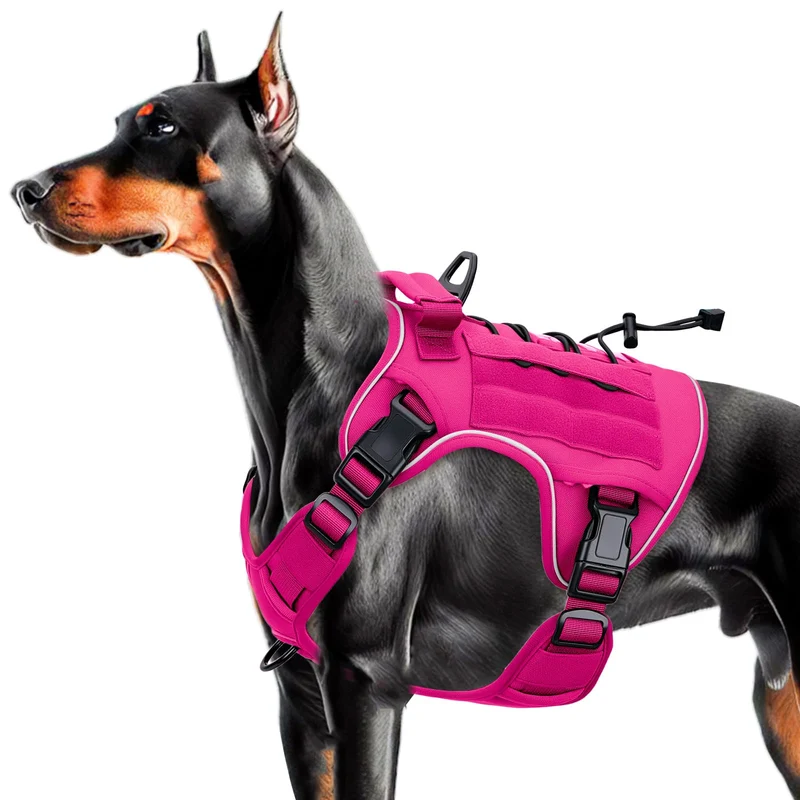 Bruvoalon Harnais Tactique Anti-Tirage pour Grands Chiens – Molle, Réfléchissant, Rose vif, Taille Large