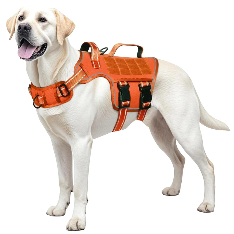 RunFido Harnais Chien Grand Taille – Sans Tirage, Système MOLLE, Boucles Rapides, Confort et Réflectivité