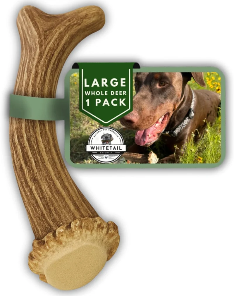 WhiteTail Naturals – Cornes de Cerf pour Grands Chiens – Mastic Durable et Naturel – Fabriqué aux États‑Unis