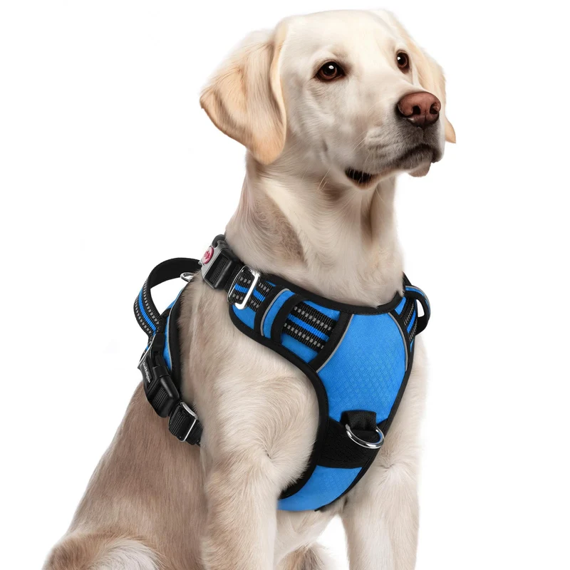 rabbitgoo Harnais pour Chien Grand – Anti-Tir, 3 Boucles, Poignée Supérieure et Bandes Réfléchissantes Bleu, Taille L