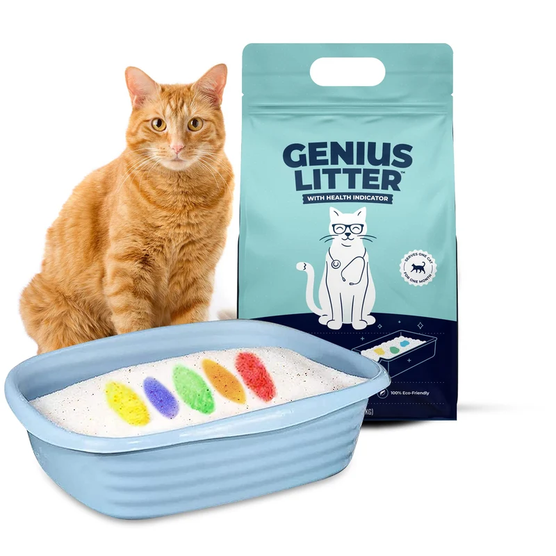 Genius Litter – Litière Santé pour Chats : Cristaux Silice Sans Poussière, Indicateur Couleur, 6 lb