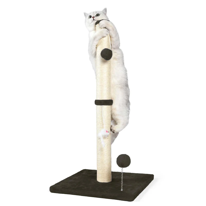 ANWA Poteau de Griffade pour Chat 32 Pouces – 3-en-1, Jouets en Peluche, Sisal Premium, Base Renforcée – Marron