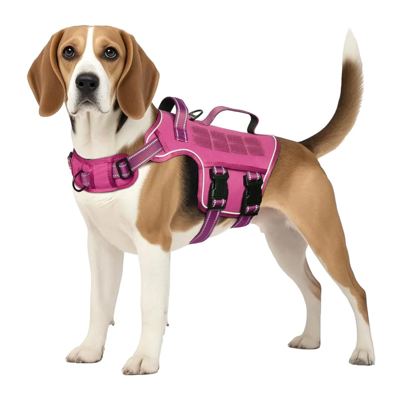 RunFido Harnais Tactique pour Chien Moyen – Anti-Tirage, Poignée, MOLLE & Réfléchi