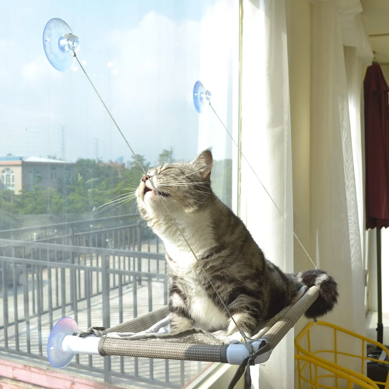 PEFUNY Hamac de fenêtre pour chat – Siège suspendu étanche pour grands chats, ventouse 360°, beige