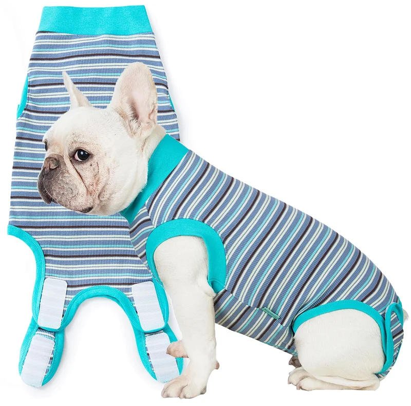 Sebidtco Recovery Suit pour Chiens — Combinaison post-chirurgie femelle, confort sans cône